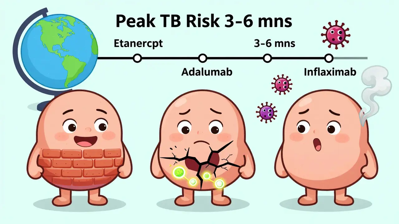 Three patients on different TNF inhibitors, showing varying levels of TB risk with granuloma structures.